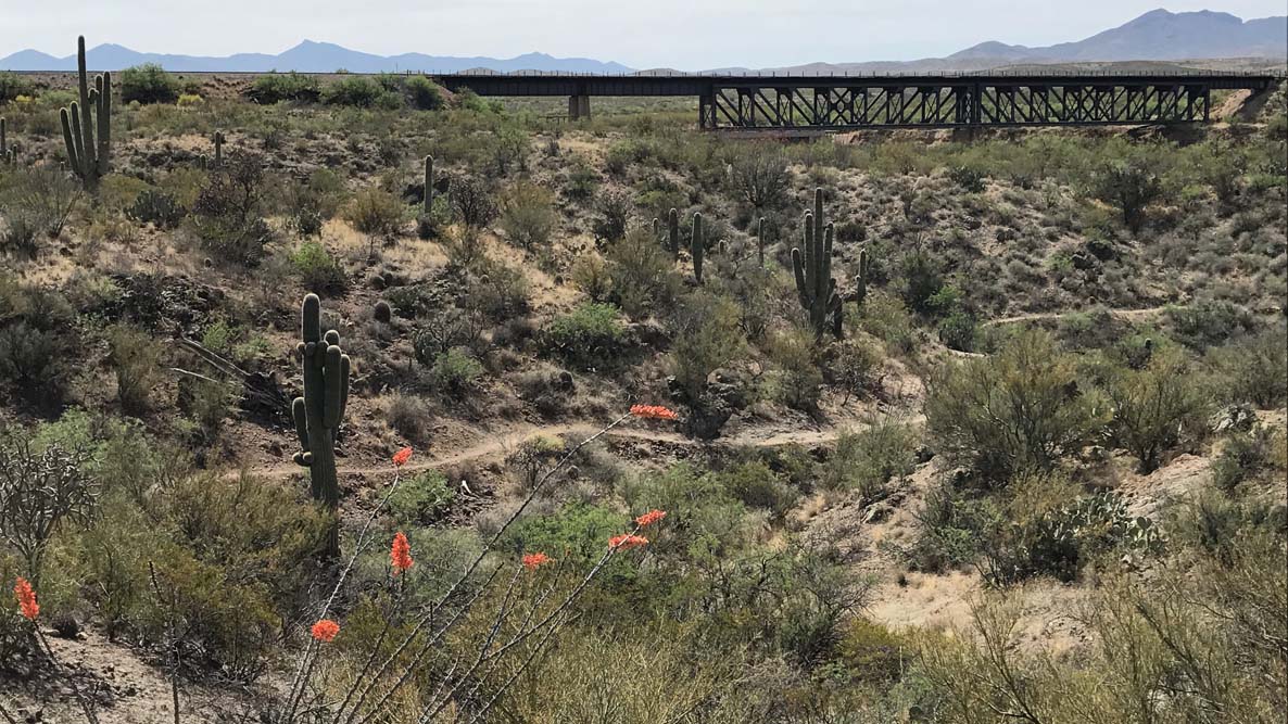 Arizona Trail north of Three Bridges