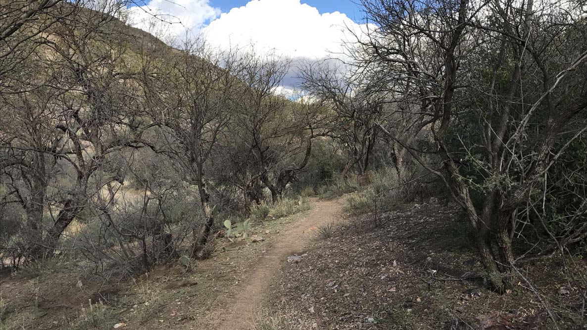 Arizona Trail Mountain Bike Ride