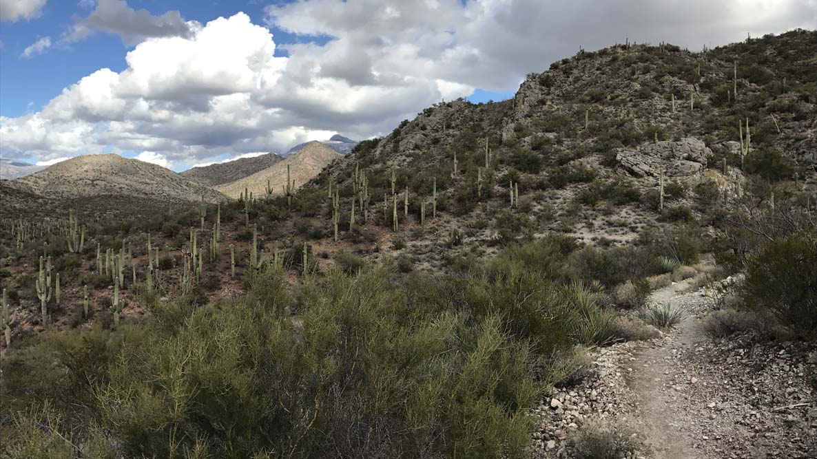 Arizona Trail Mountain Bike Ride
