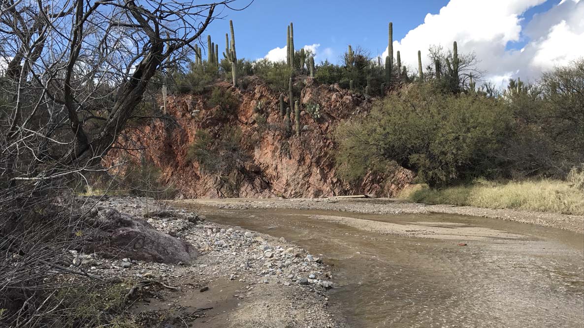 Arizona Trail Mountain Bike Ride