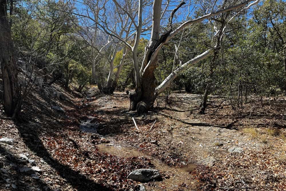 Hunter Canyon Creek