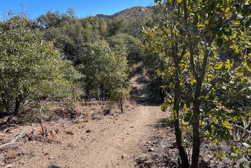 Hunter Canyon Mountain Biking Red Barchetta