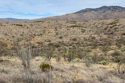 McKenzie Ranch Mountain Bike Ride