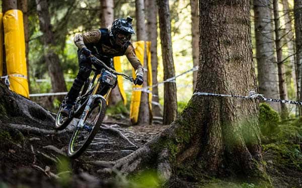 Sun & Spokes carries Pivot Cycles