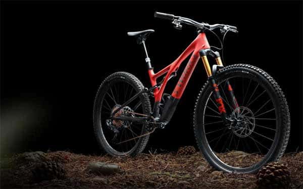 Sun & Spokes carries Specialized Bicycles