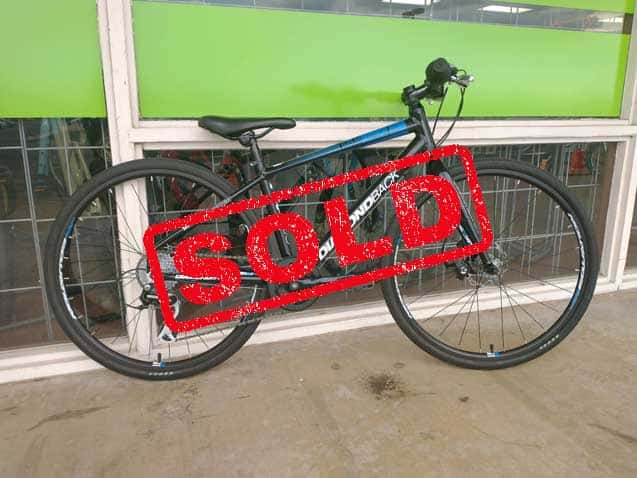 Diamondback Haanjo Metro 24